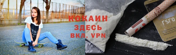 ешки Аркадак