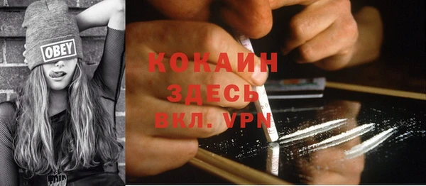 ешки Аркадак